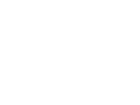 Paulsen Insurance